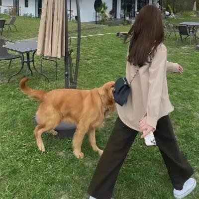 全员加速中第四季